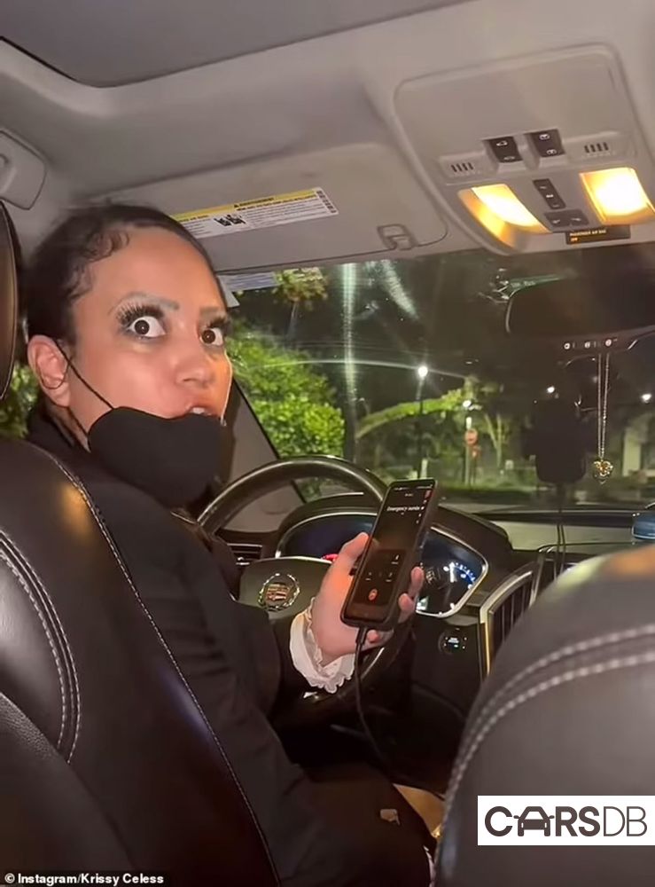 98420925-14716489-Just_prior_to_that_the_driver_visibly_agitated_can_be_seen_shutt-a-51_1747328107943.jpg