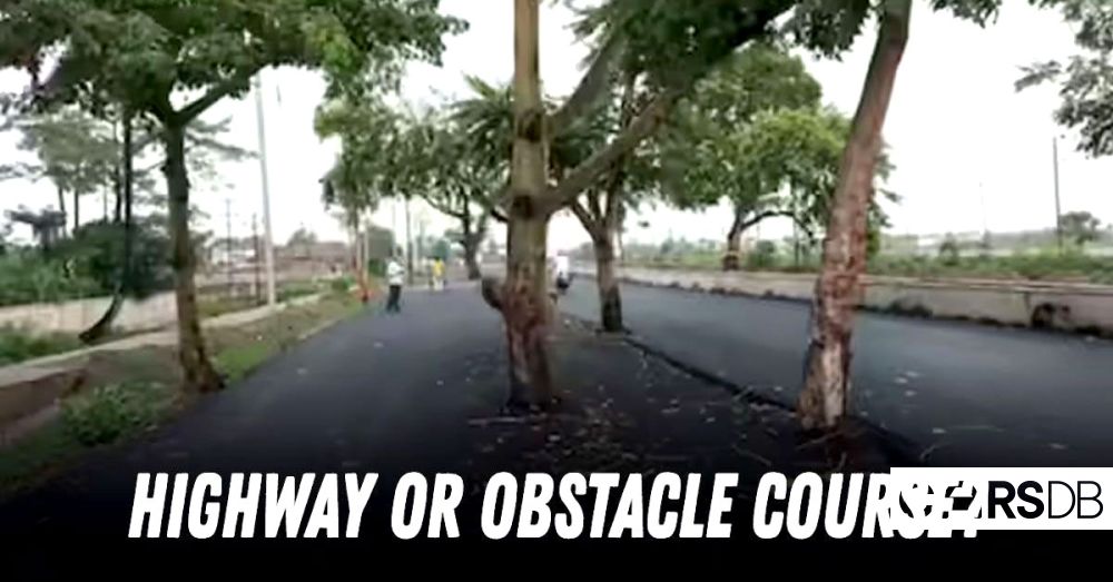 trees_in_the_middle_of_highway_patna_gaya_in_bihar_8cd7e65ec1.jpg