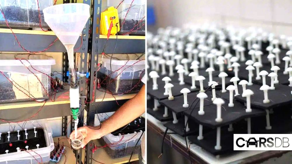 it-recharges-itself-china-unveils-revolutionary-battery-powered-by-bacteria-with-99-efficiency.jpg