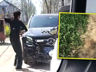 Furious China farmer takes brick to smash luxury car of driver who crushed her garlic seedlings, triggers wealth gap debate