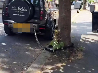 It’s madness,’ car lovers fume as video reveals Land Rover owner forced to chain motor to TREE to stop it being stolen