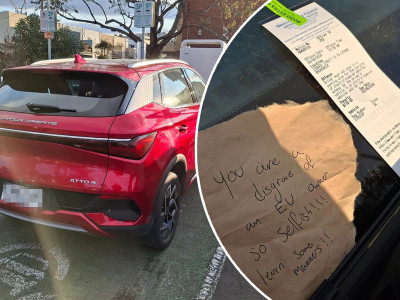 BYD owner’s ‘disgraceful’ act prompts electric car 'war'