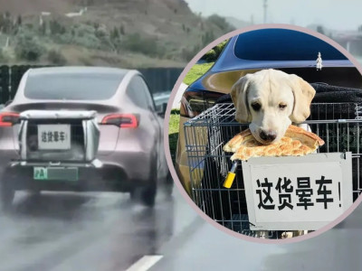 တရုတ်ပြည်တွင် Tesla တစ်စီးဖြင့် ခွေးလေးတစ်ကောင်နှင့်အတူ တရုတ်ပြည်တစ်ဝန်း မိုင်ထောင်ချီ ခရီးထွက်နေသည့် အမျိုးသားတစ်ဦးအကြောင်း နာမည်ကြီးနေ